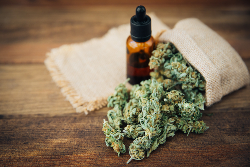 30 fun CBD oil facts