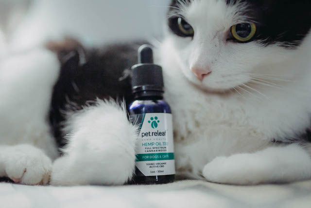 CBD Pet Drops for animals