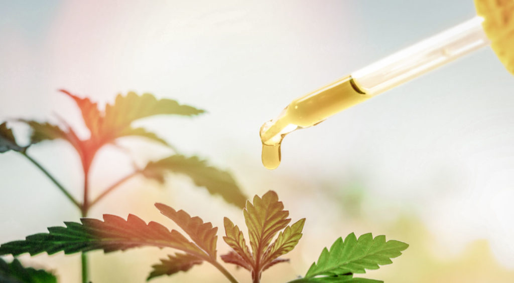 Does CBD Oil Go Bad?