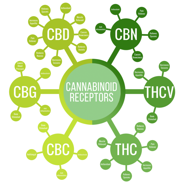 CBD Buyer's Guide