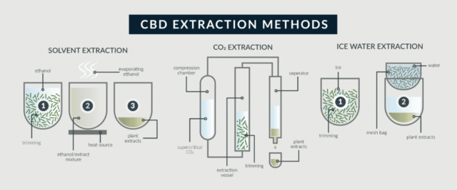 CBD Buyer's Guide