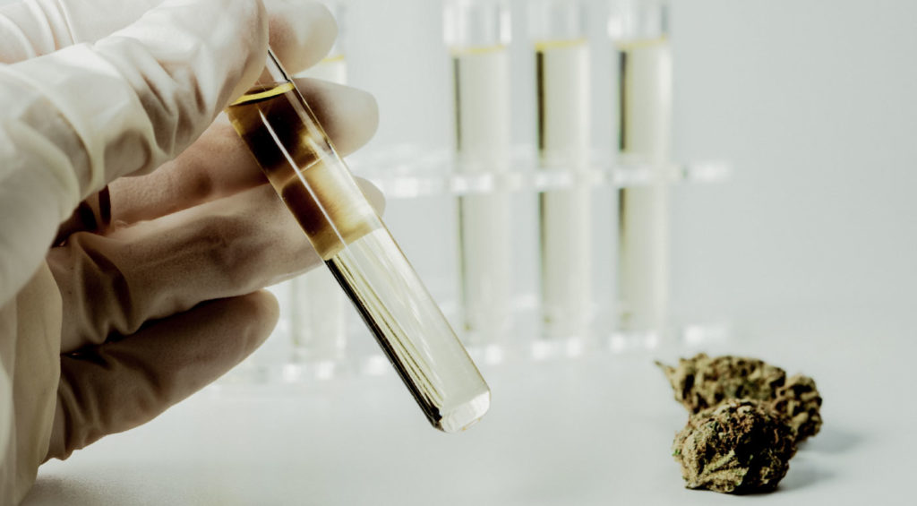 Does CBD Show up on a Drug Test?