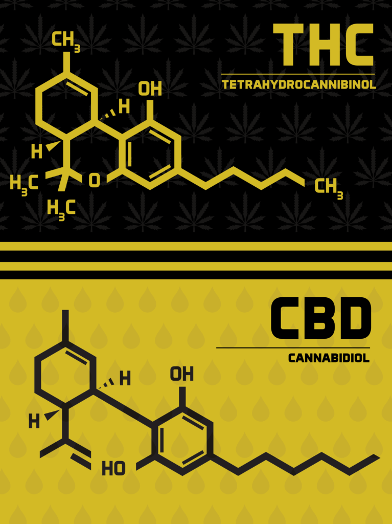 CBD vs. THC