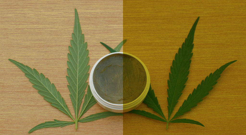 CBD vs. THC