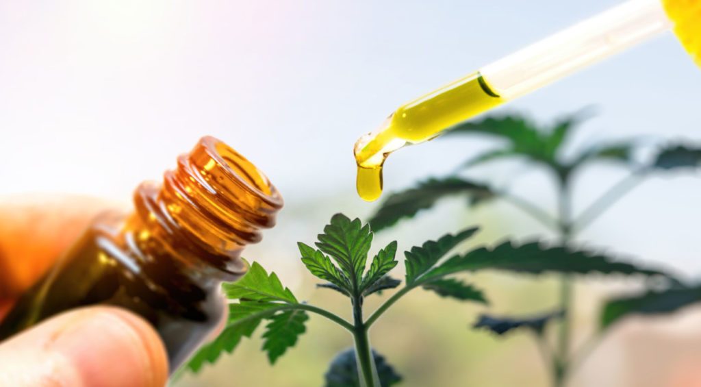 What is CBD Oil