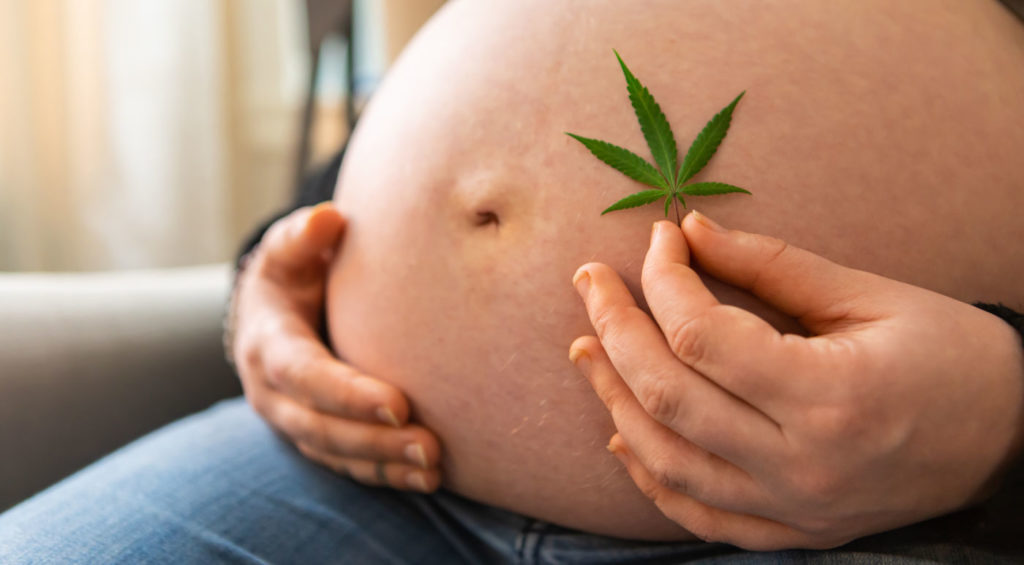 CBD oil and Pregnancy