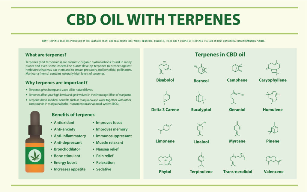 terpenes in cbd